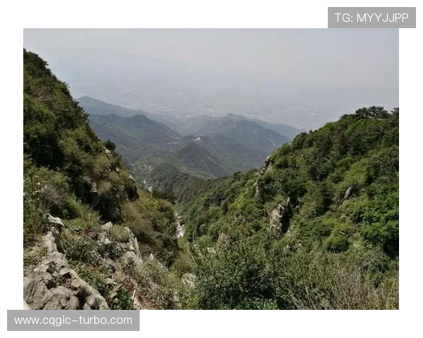 阿尔瓦罗·菲达尔戈的往昔镜影